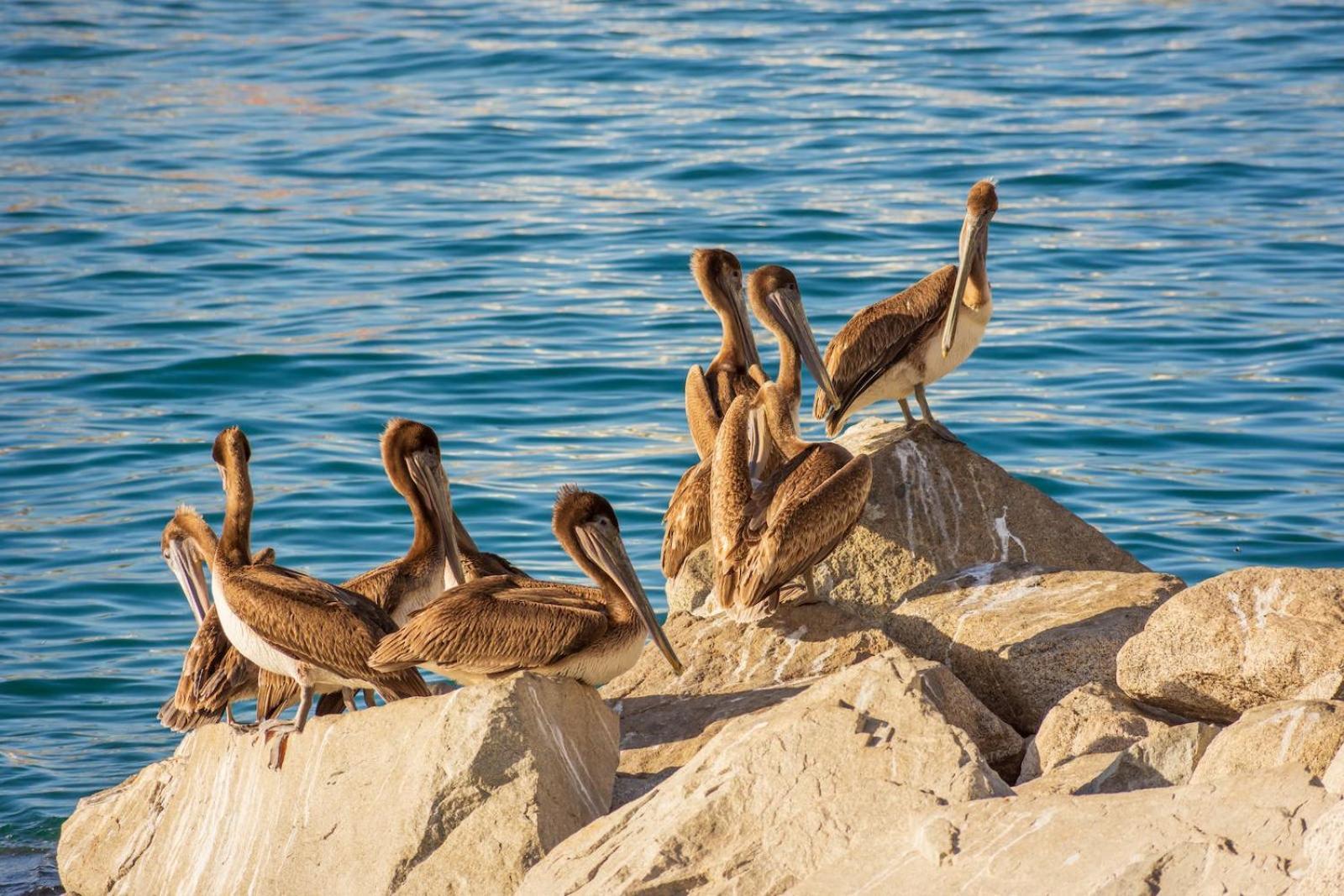 Morro Bay Beach Inn Εξωτερικό φωτογραφία