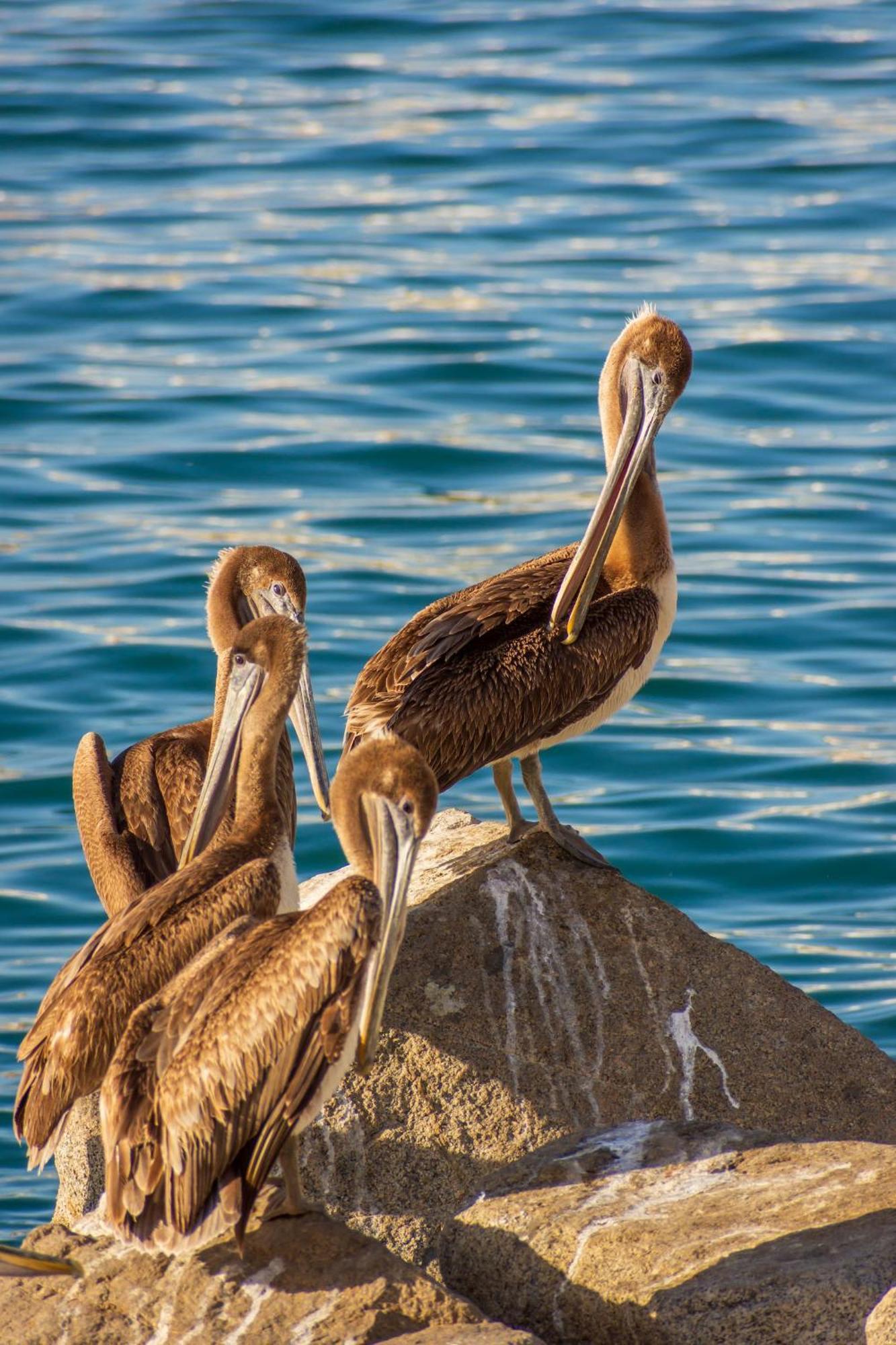 Morro Bay Beach Inn Εξωτερικό φωτογραφία